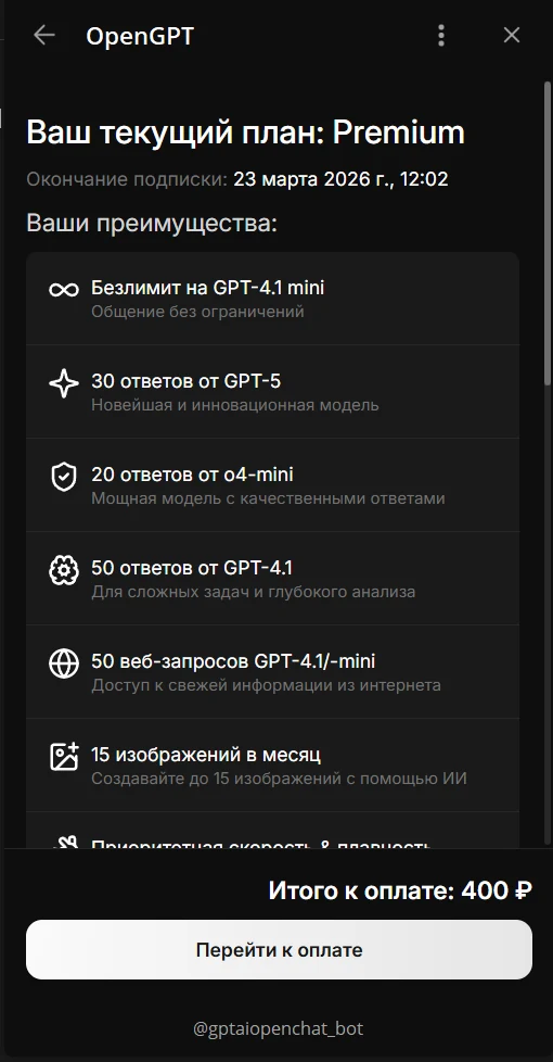 OpenGPT premium subscription plan and payment interface